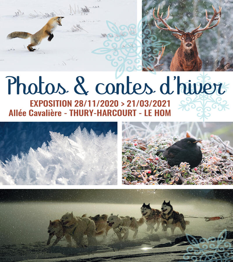 Exposition