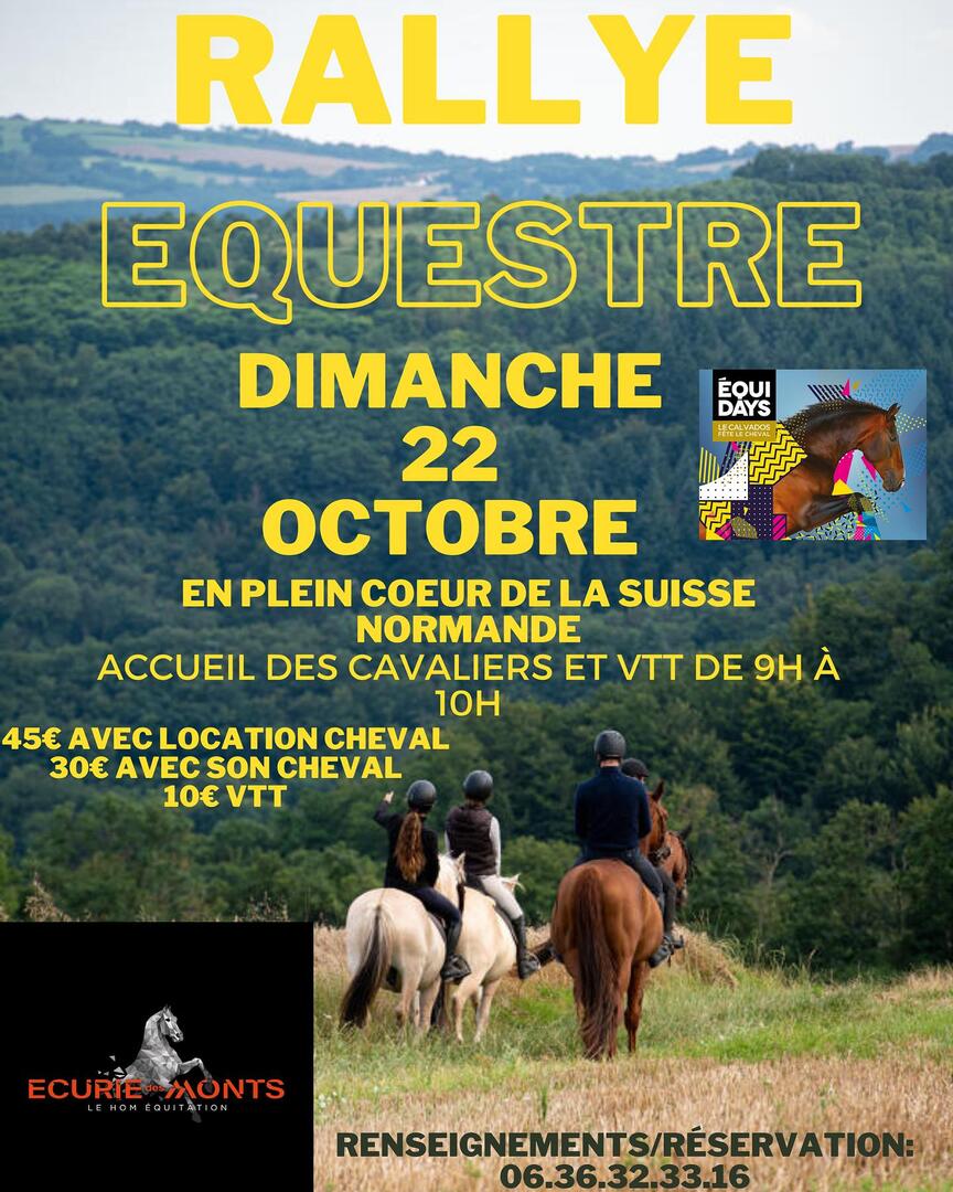 rally equestre