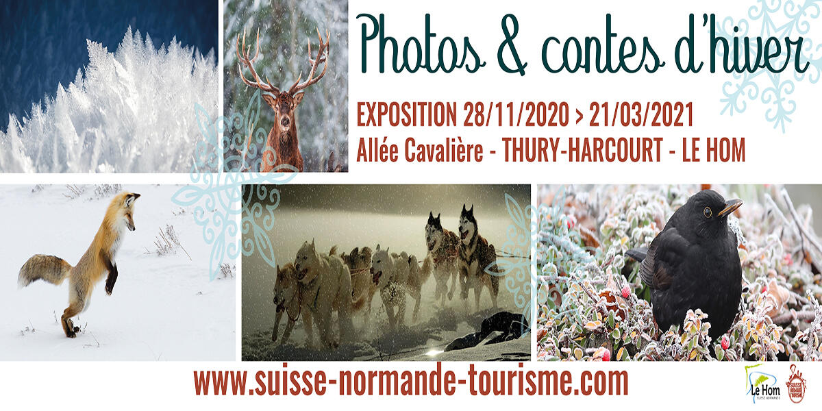 Exposition