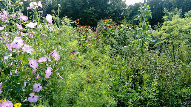 Journée permaculture