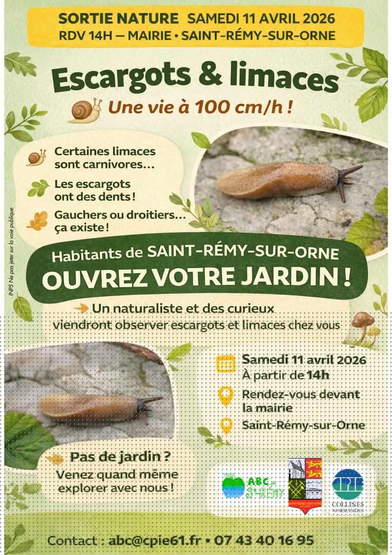 Copie de Sortie grenouilles 28.03 - 1