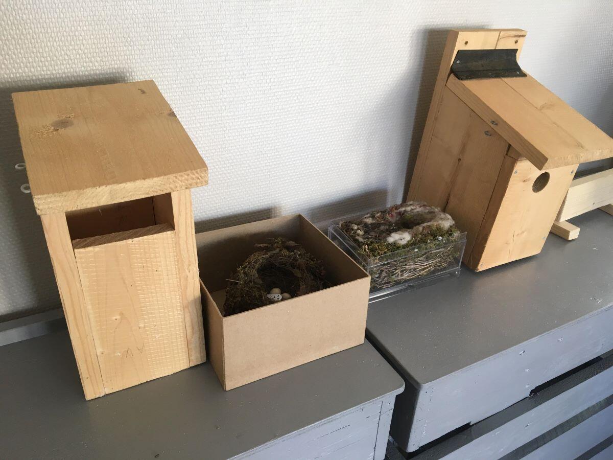 Atelier nichoirs
