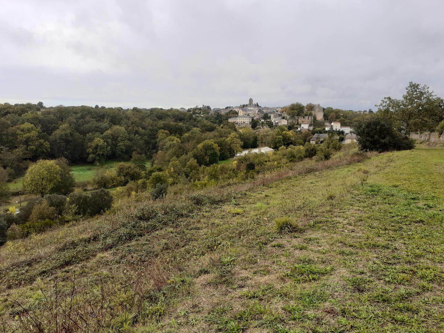 OTBB-Verger Biodiversite (11)