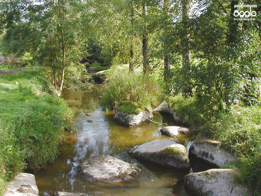 Balade en bords de sèvre