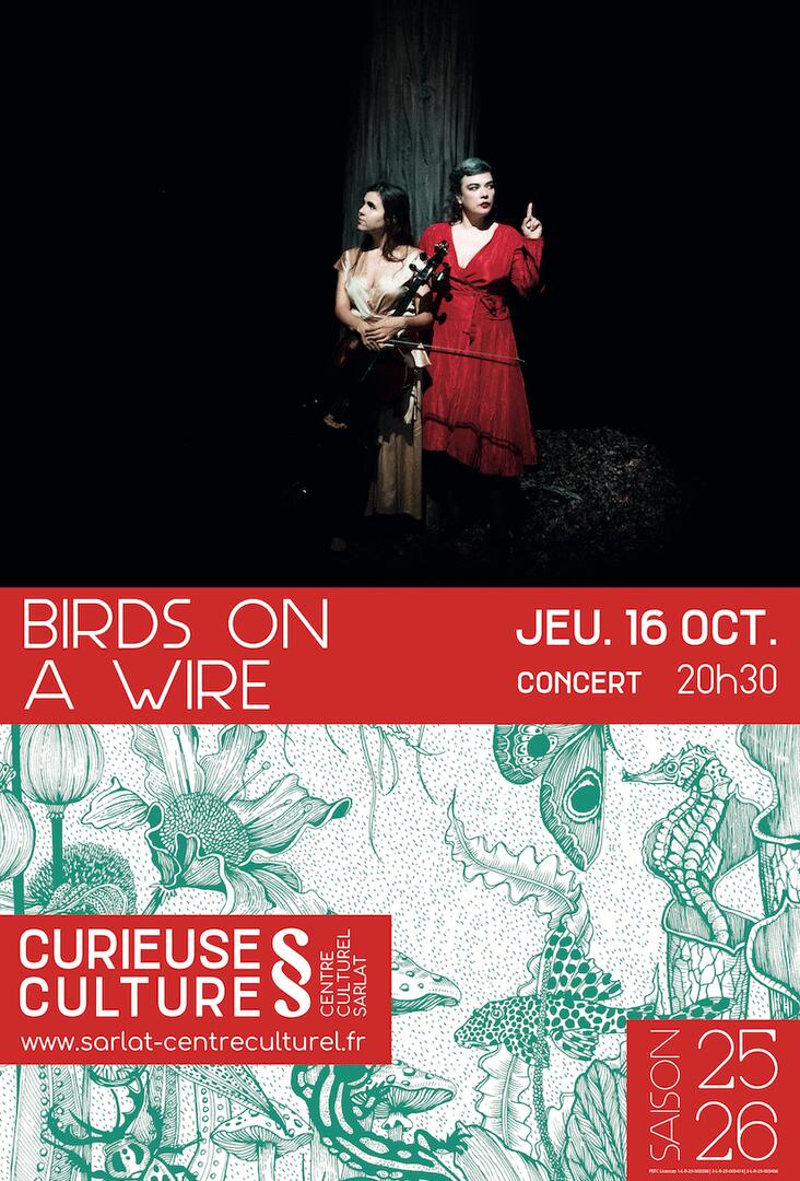 BIRDS ON A WIRE