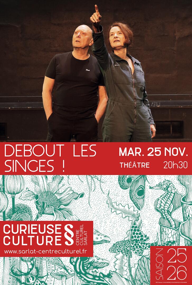 Debout les singes