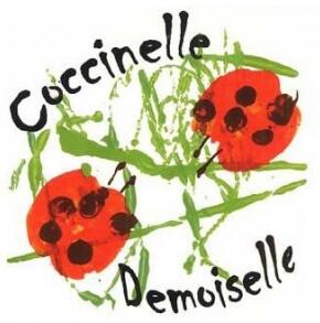 Coccinelle Demoiselle