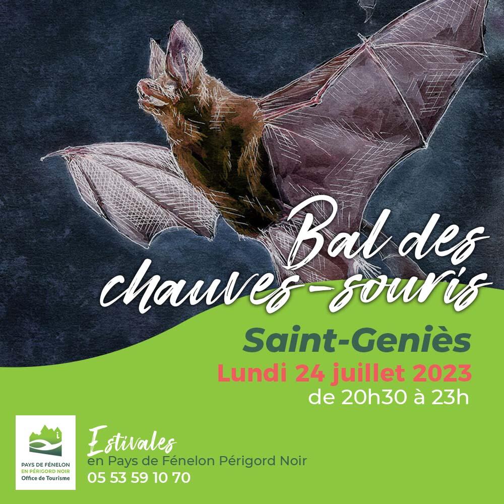 E bal des chauves-souris 2