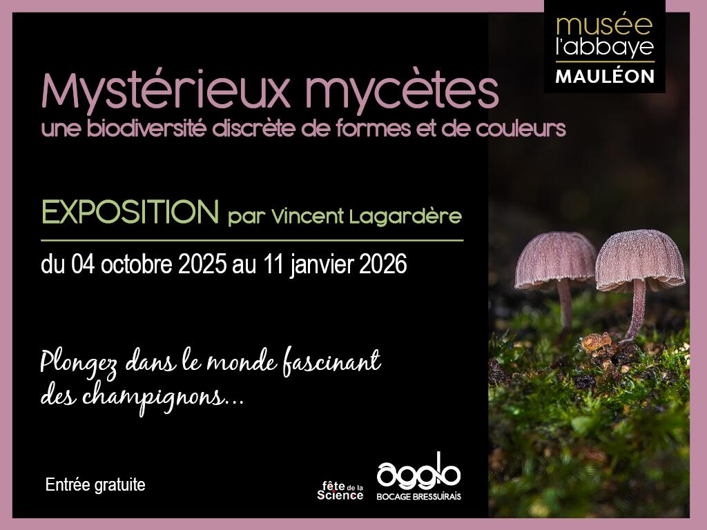Exposition champignon Mauléon
