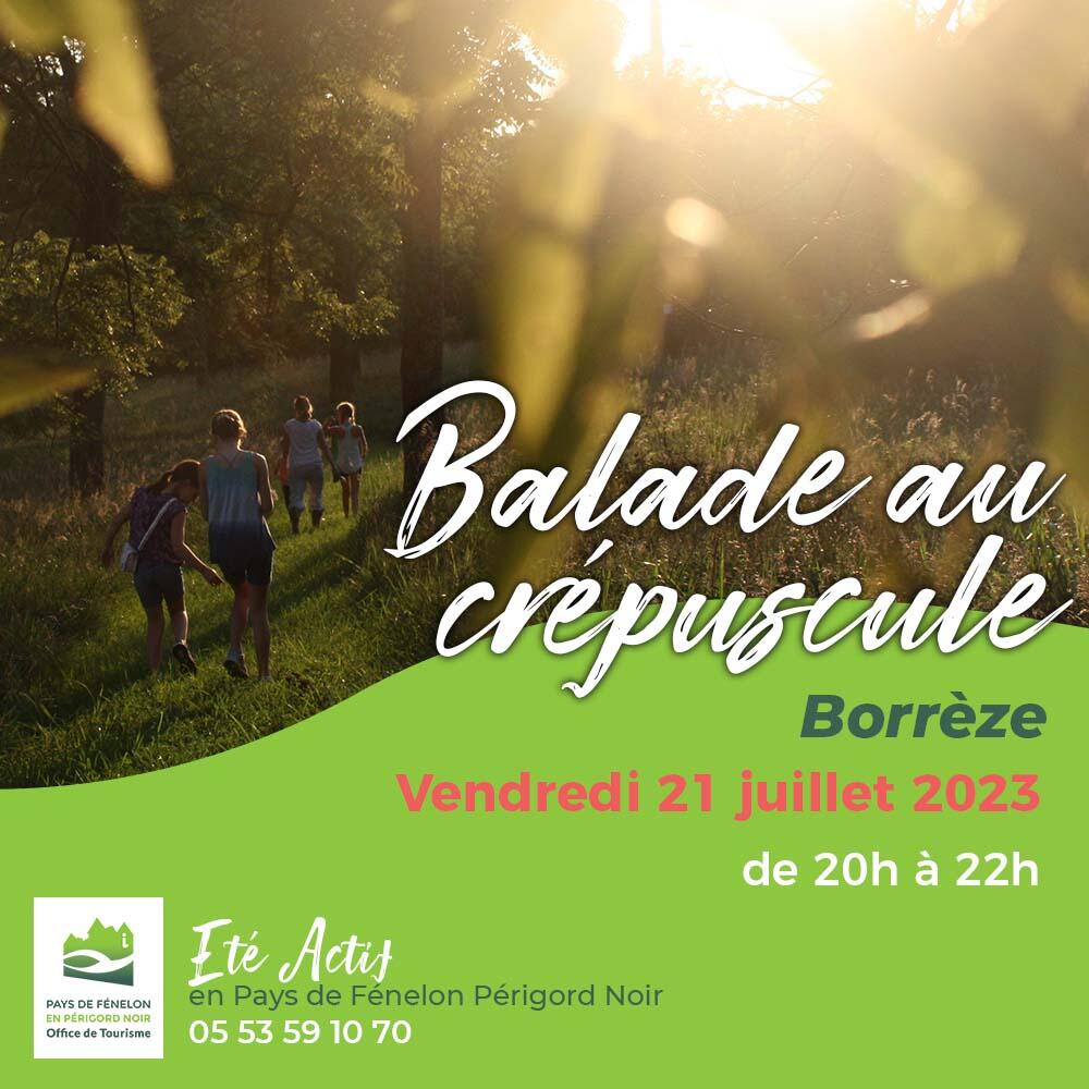 EA Balade Nocturne