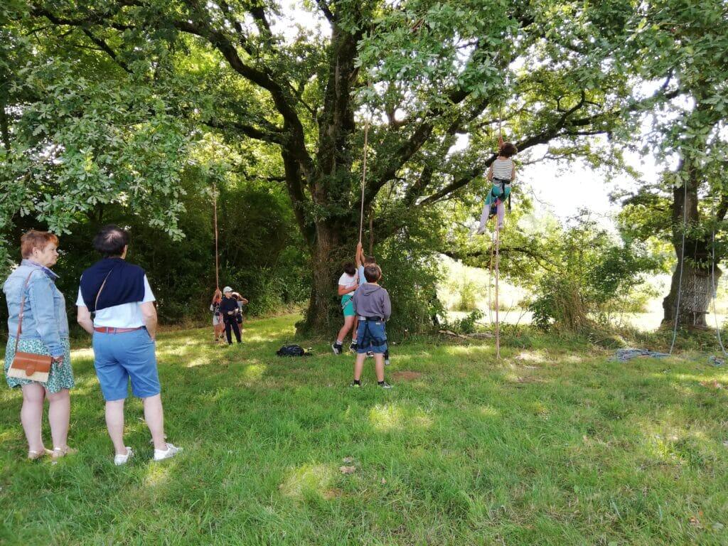 Estivales de Scie Grimpes d'arbres