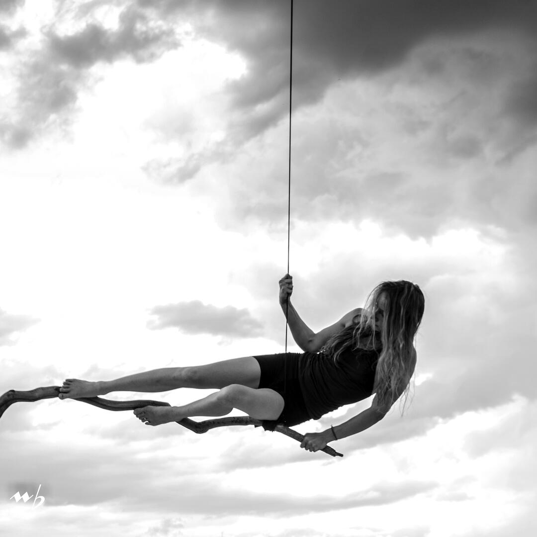 P52-Hêtre ©Ma Sarabande