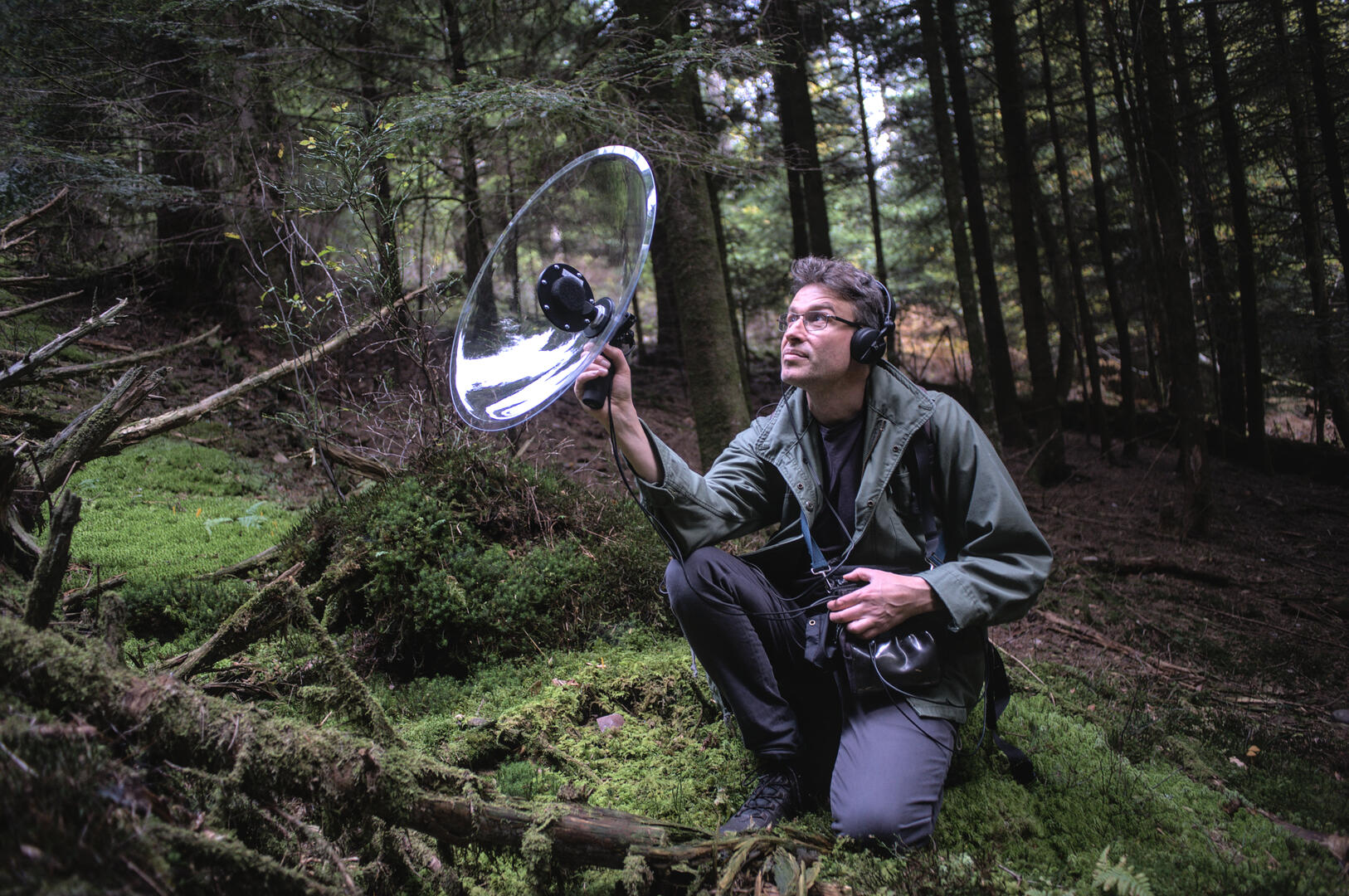 P.38 A l'écoute du vivant