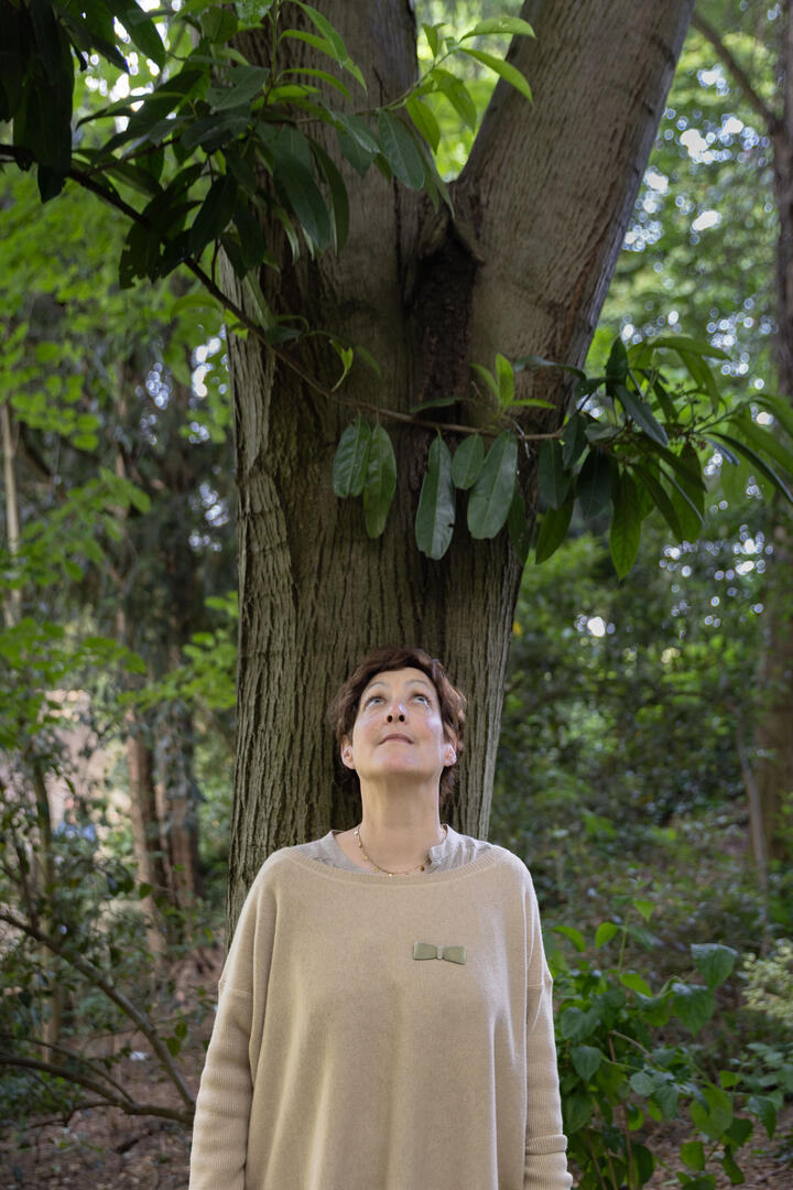 P.41 d'un paysage à l'autre