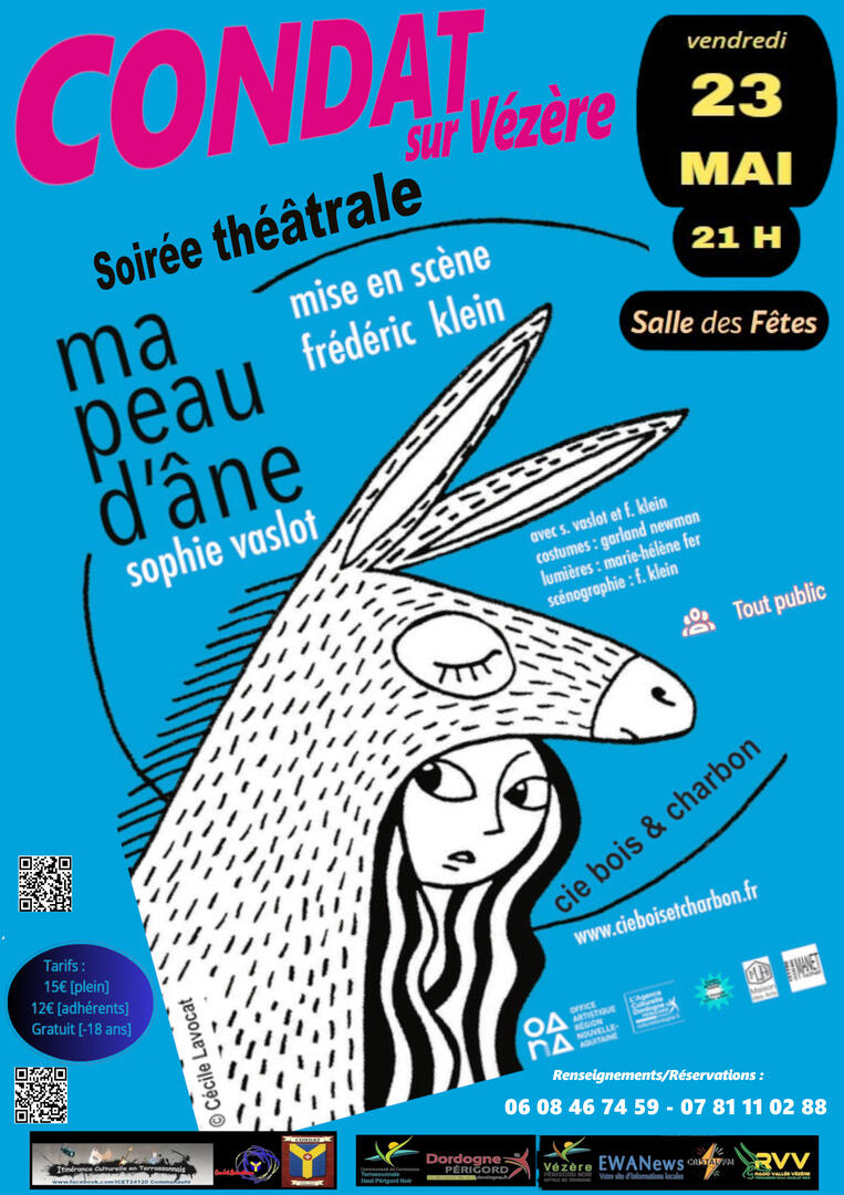 Peau d'AneAffiche
