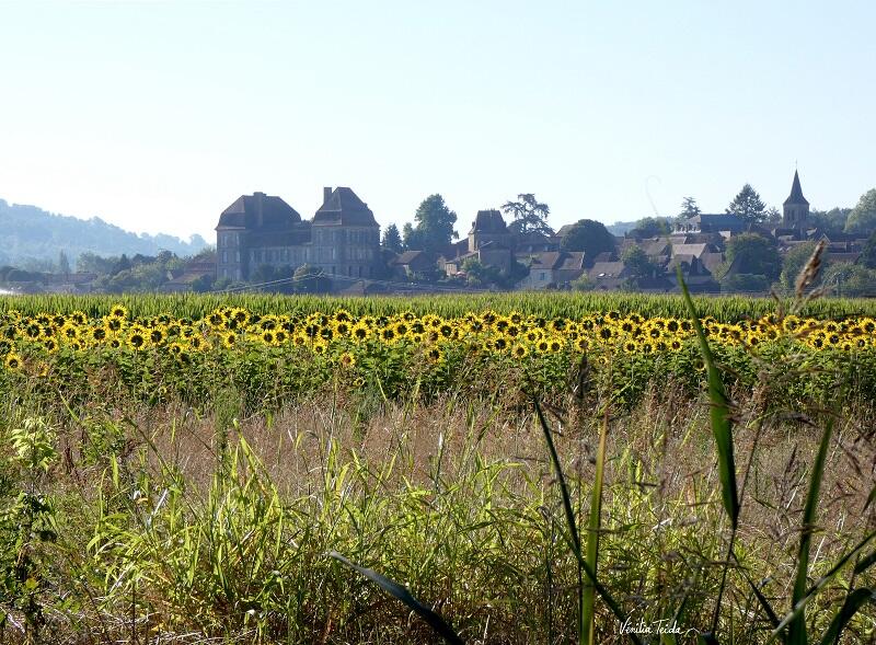 Siorac_Balade_Dordogne_Happy-Cultors_Venitia_Teida