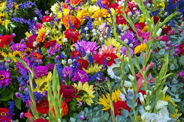 mikegoad-madison-farm-market-flowers-4167332_640