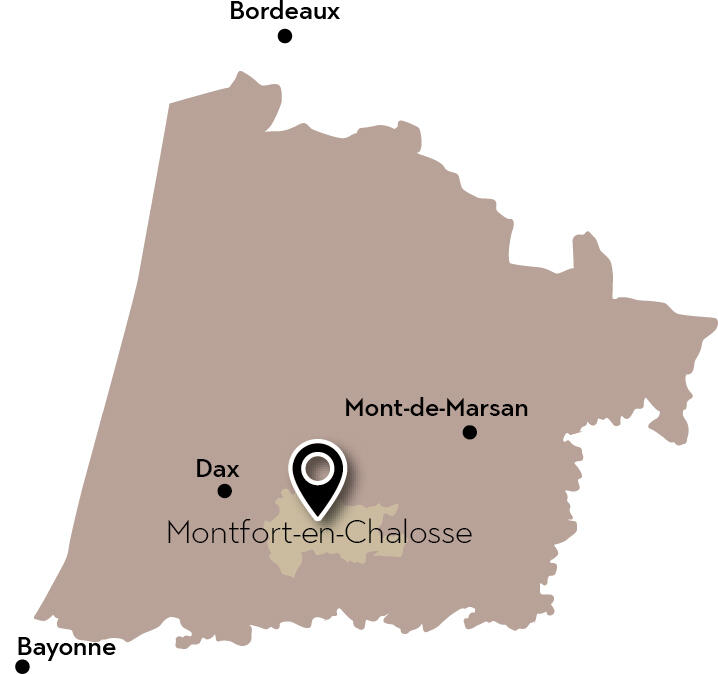 montfort