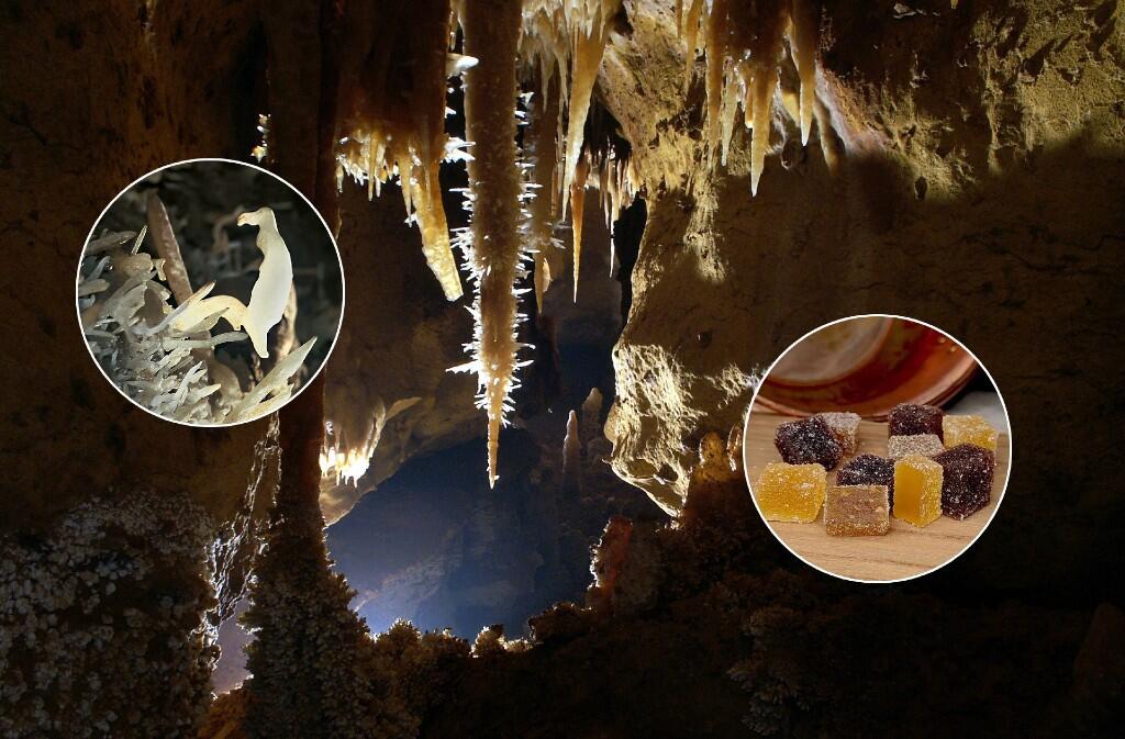 fevrier gourmand Grotte de Maxange