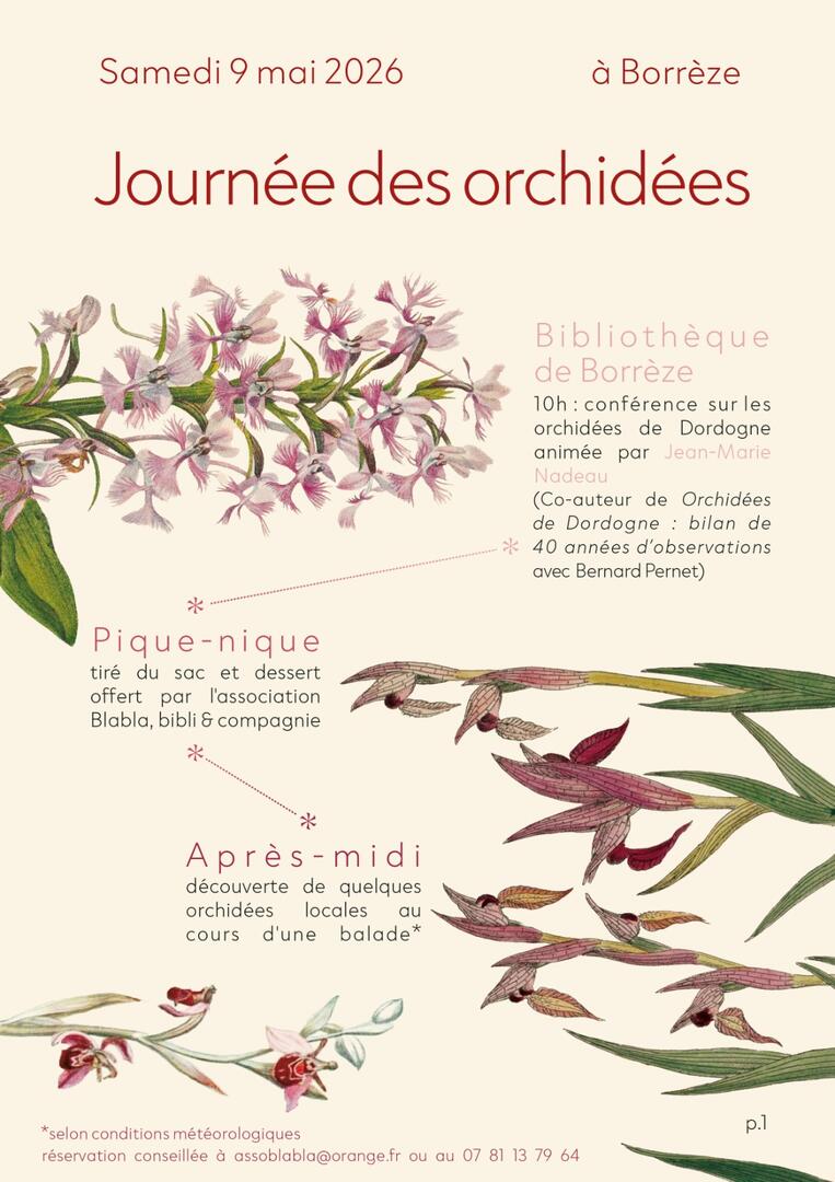 orchidées BORREZE