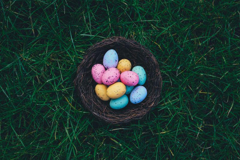 annie-spratt-43o1KVbOWXA-unsplash©Annie Spratt sur unsplash