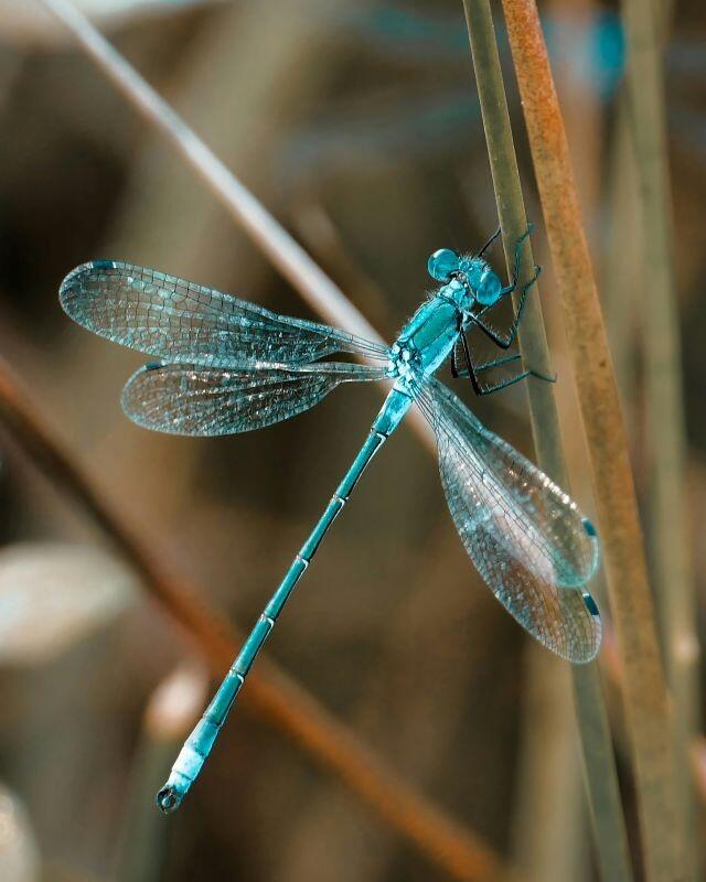 brigitte-elsner©Brigitte Elsner sur unsplash