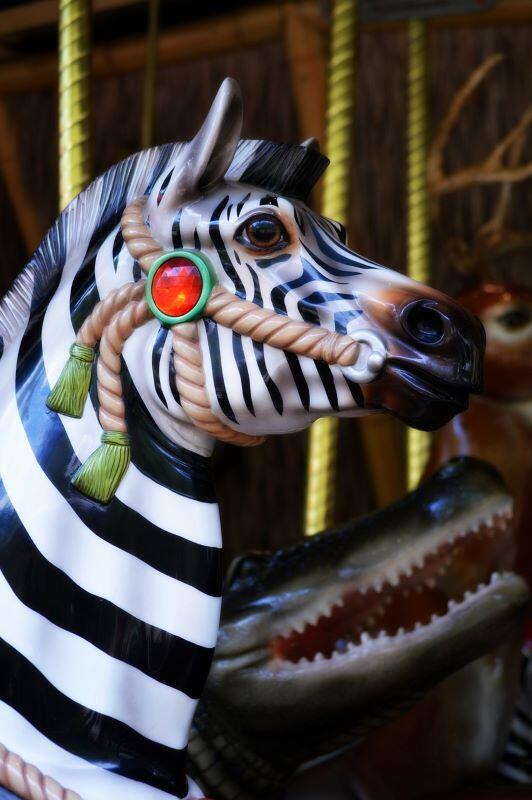 carousel©Carole de Pixabay