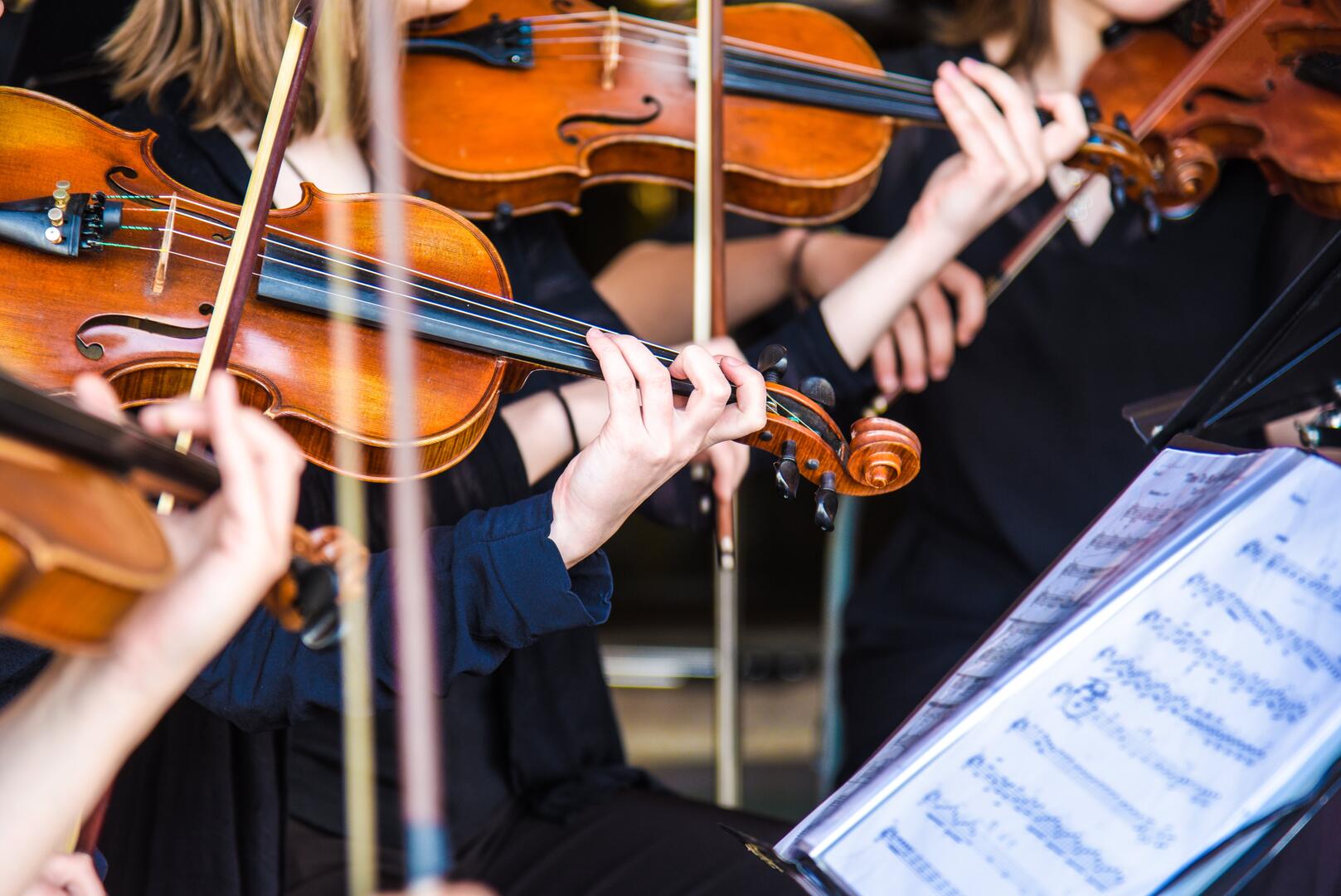 violin in orchestra