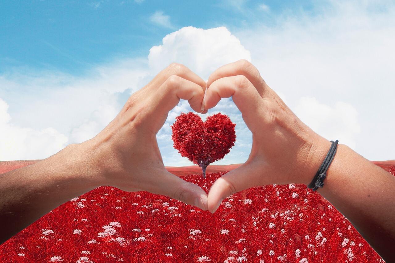 darling-5215560_1280