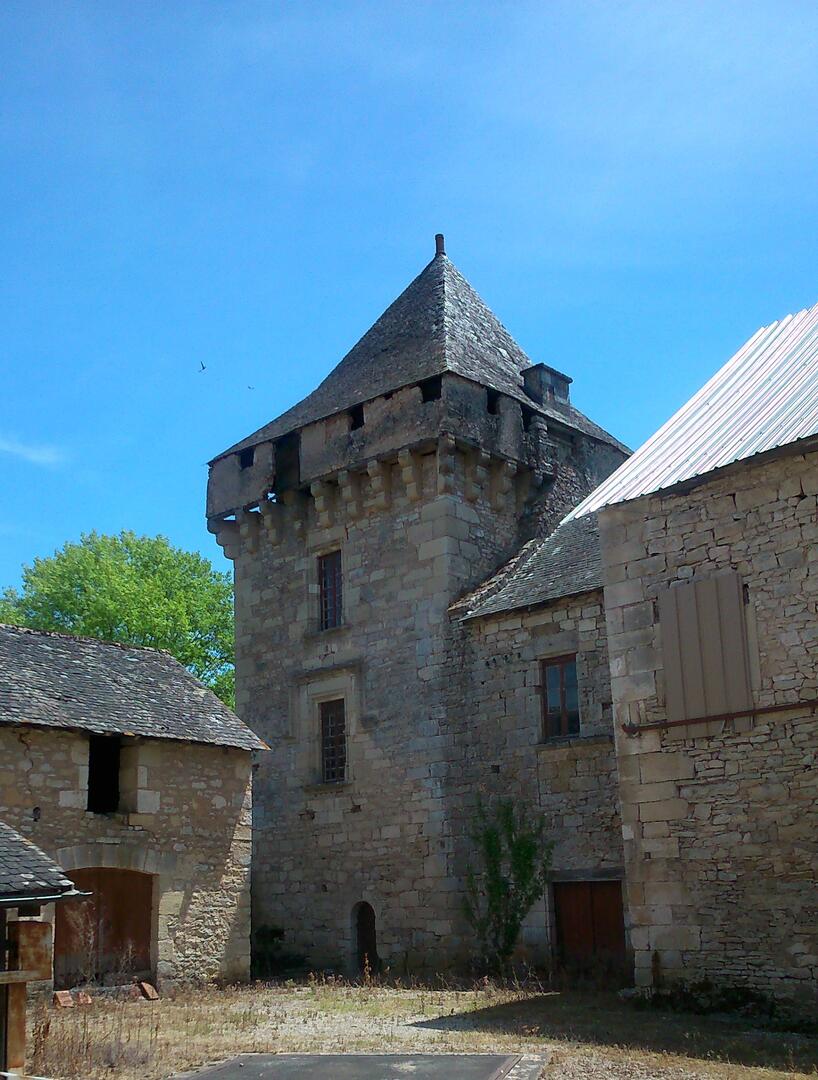 donjonchateaudecondat