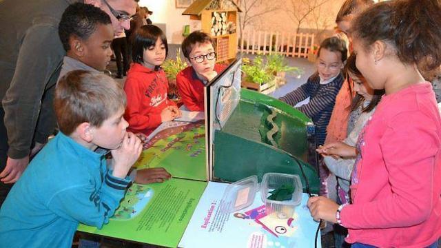 la-mediatheque-fait-bouger-le-bocage_27946194803_o