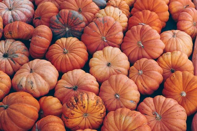 pumpkin-7496159_640