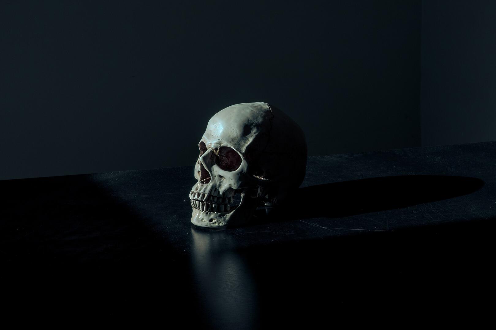 pexels-skull-1867707