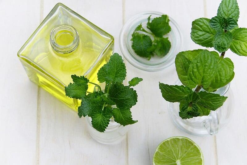 plantes-medicinales-12