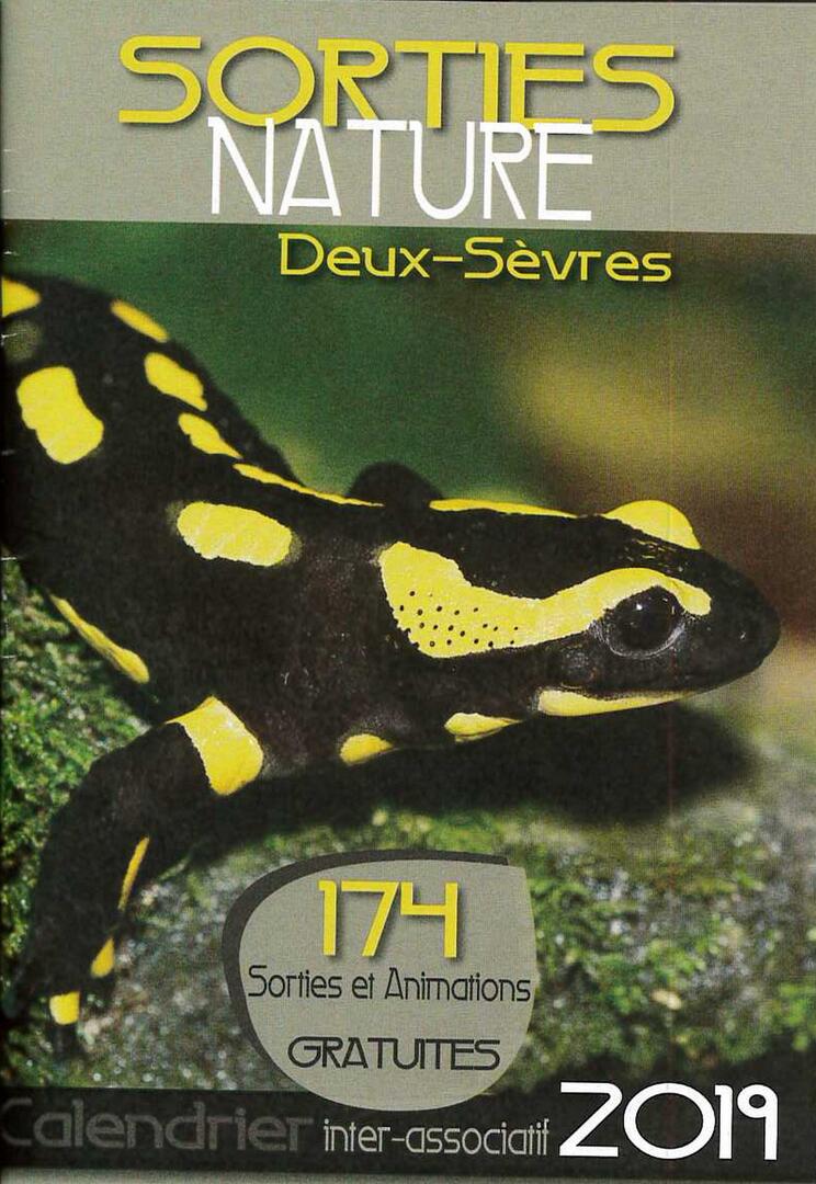 prog-sorties-nature-DS-4
