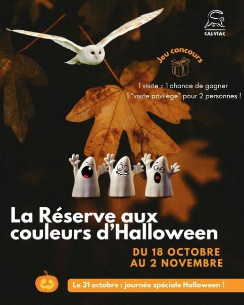 réserve halloween