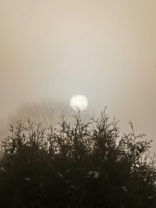 stripe-media-gM5-qFkRfm4-unsplash©Stripe média sur unsplash