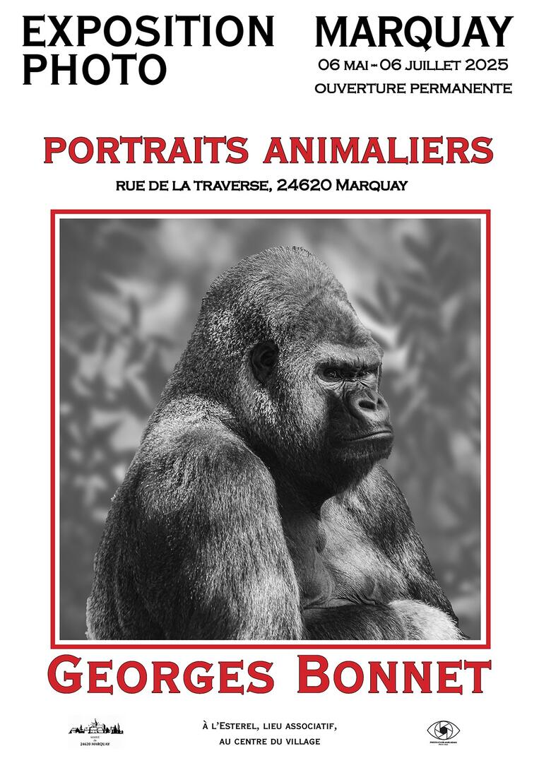 Portraits Animaliers