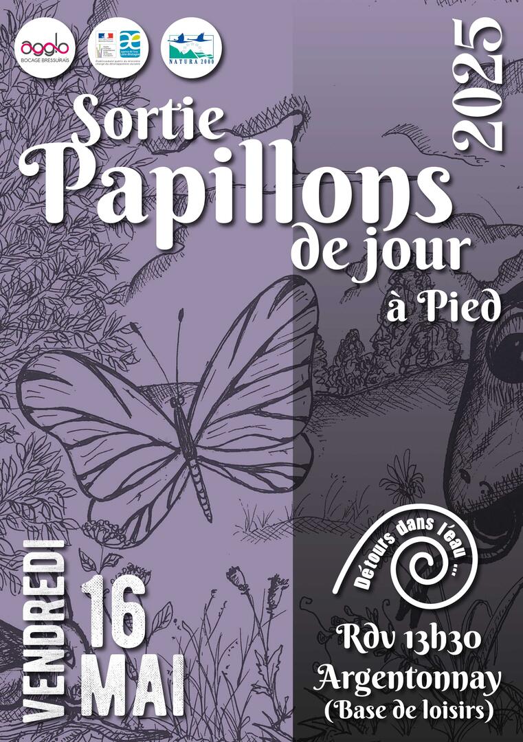 250516-sortie-papillons-argentonnay