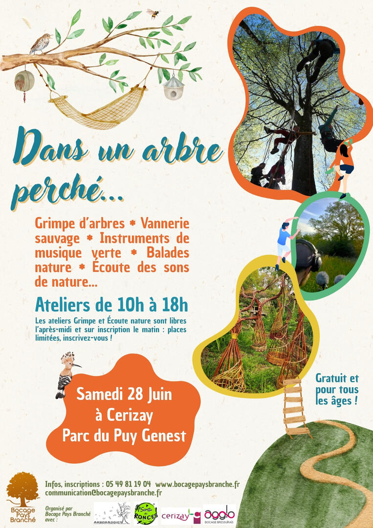 250628-arbre-perché-cerizay