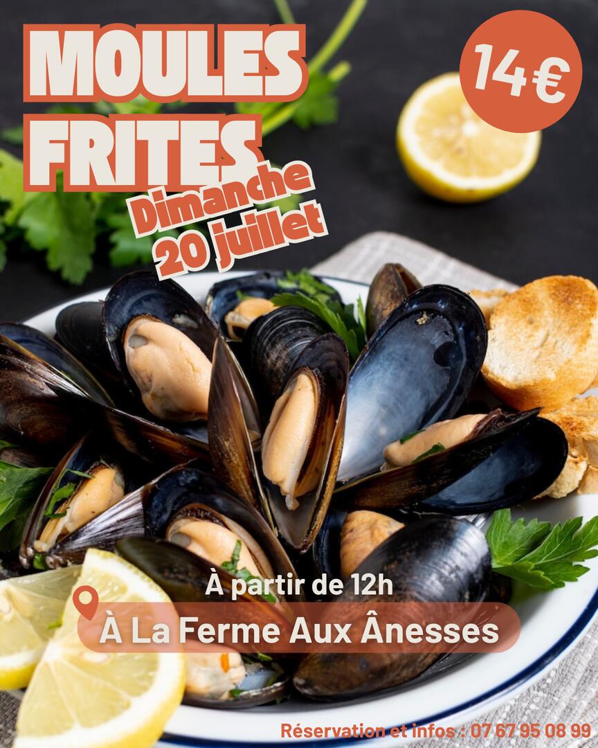 250720-moules-frites-terves