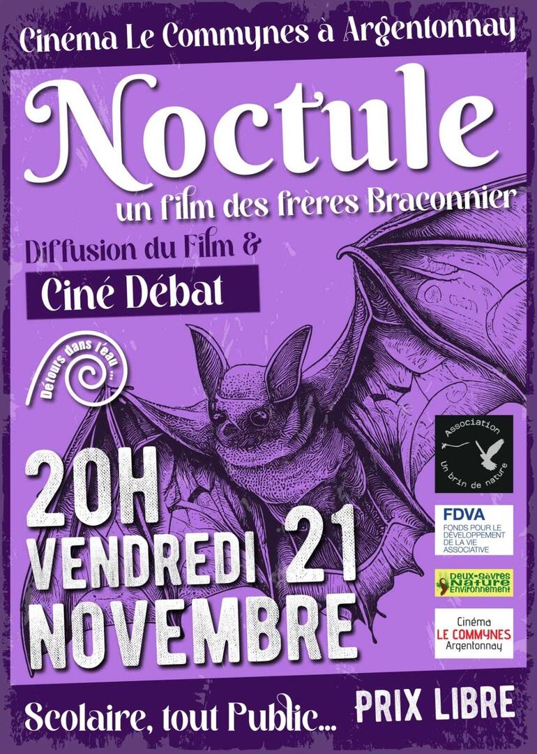 251121-ciné-débat-argentonnay