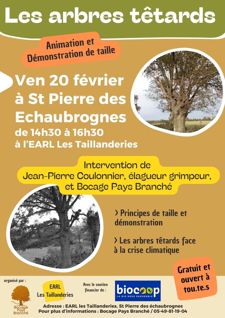 260220-bocage-pays-branché-st-pierre-des-échaubrognes