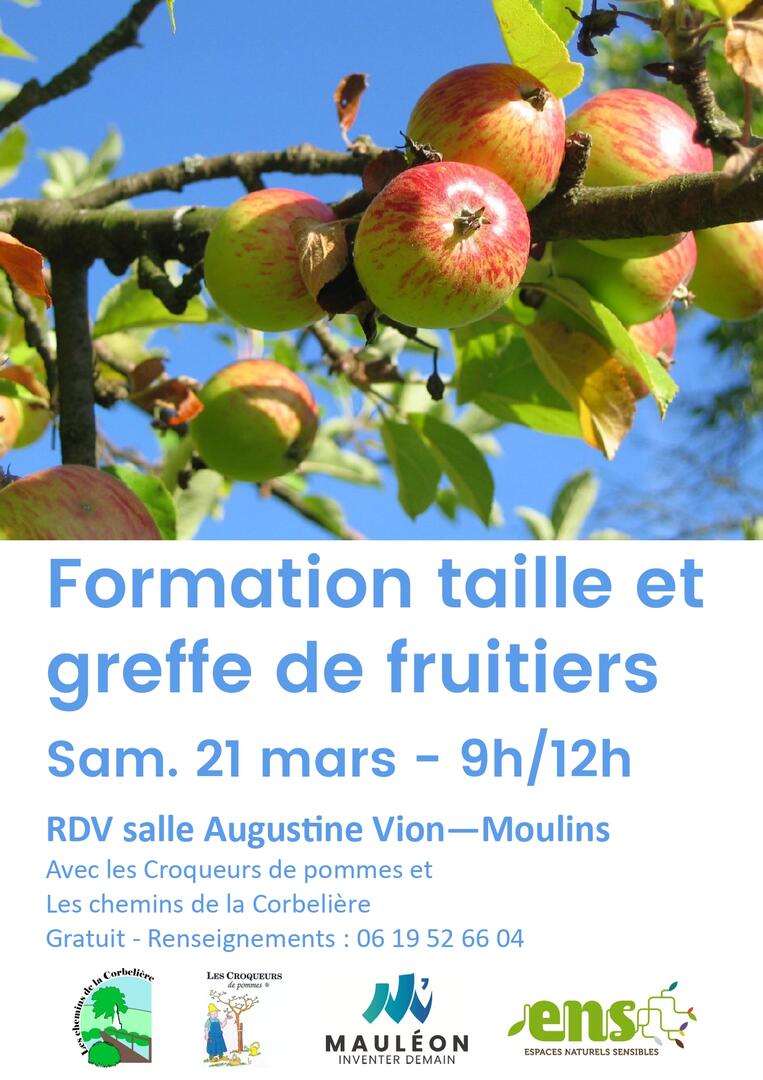 260321-taille-arbre-mauléon