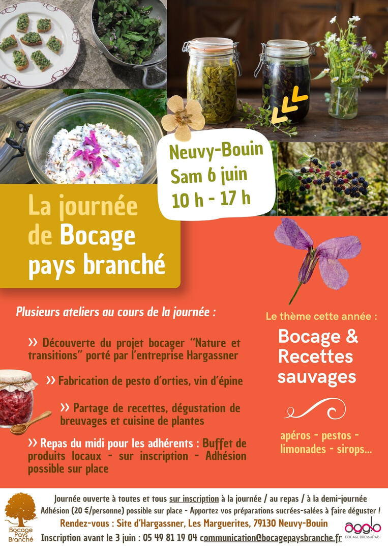 260606-bocage-pays-branché-neuvy-bouin