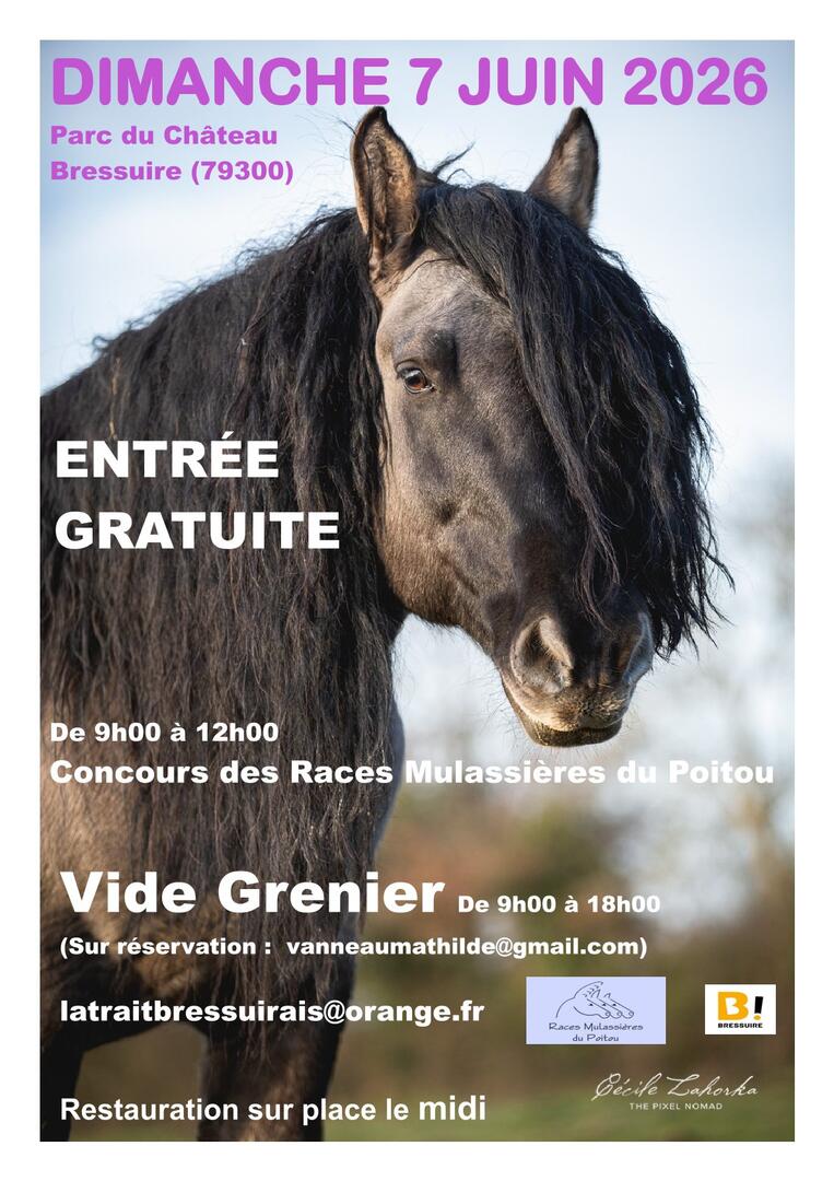 260607-concours-vide-grenier-bressuire