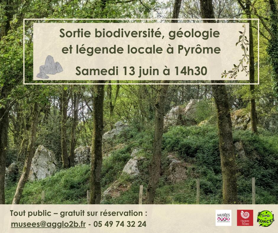 260613-visite-pyrome
