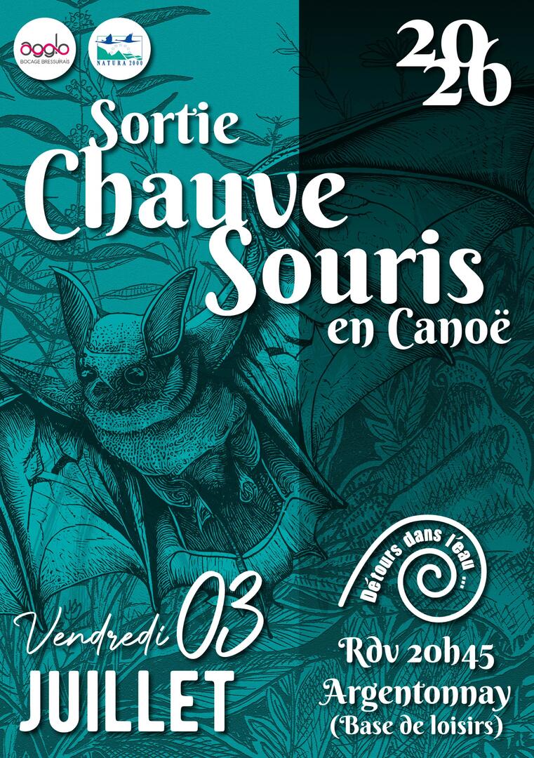 260703-chauve-souris-argentonnay