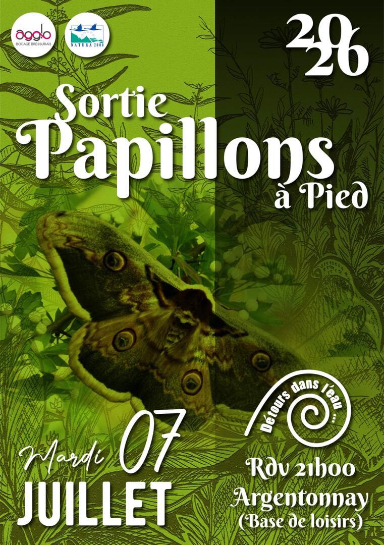 260707-papillons-argentonnay