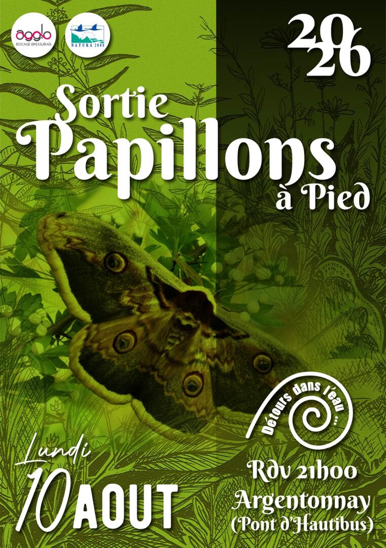 260810-papillons-argentonnay